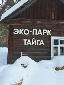 Тайга - 3