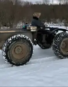 Северный олень - 11