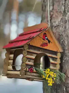 Северное сияние - 99