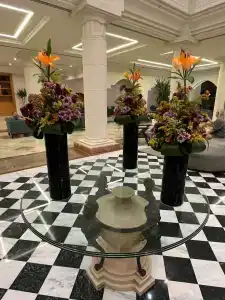 Royal Grand Albatros Sharm - Adults Only - 25