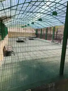 Сокол - 79