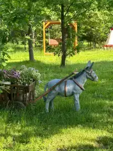 Остров Зеленый - 13