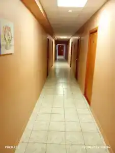 Фламинго - 55