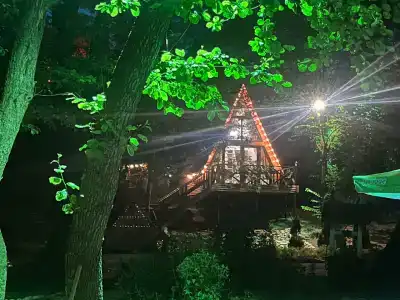 Богатый лес - 28