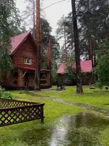 Дача в соснах - 18