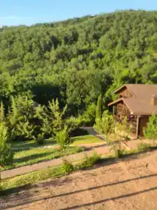 Shale Alpine House - 34