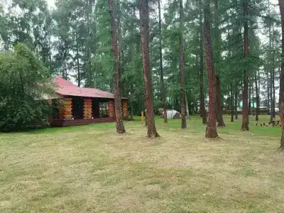 Мульта - 37