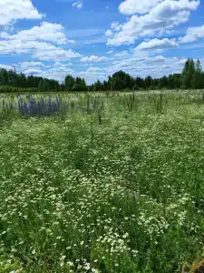 Мультиферма - 28