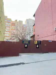Пальма - 17