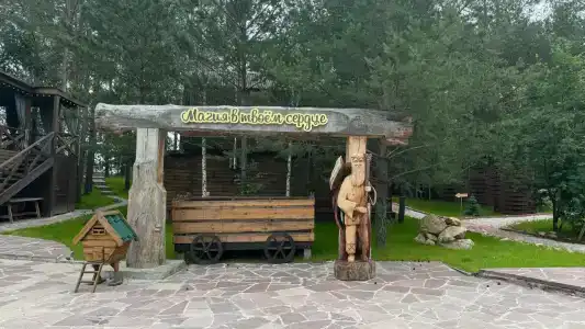 Магия леса - 13