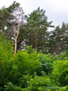 Санаторий-профилакторий Ольховка - 24