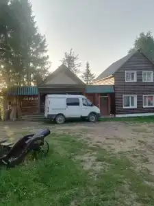 Живица - 21