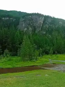 Клевер - 11