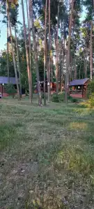 Иволга - 33