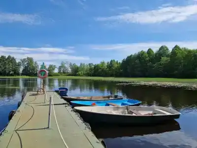 Рябинушка - 0