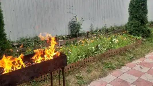 Соловей - 11