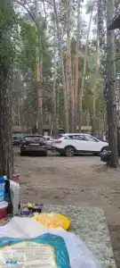 Олимпия - 49