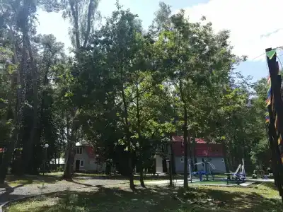 Подберёзовик - 44