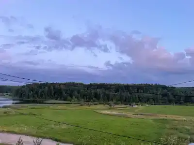 Микли-Ольгино - 98