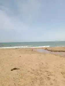 Золотые Пески - 99