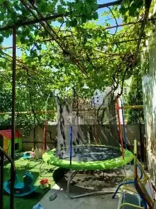 Розовый фламинго - 25