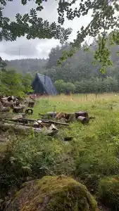 Абракадабра - 26