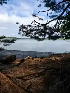 Белое озеро - 49