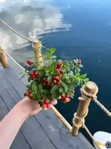 База отдыха на воде Оланга - 16