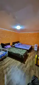 Тюльпан - 26