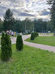 Санаторий-Профилакторий Лесная Поляна - 28