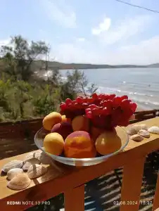 Амбассадор - 95