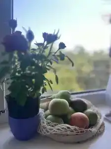 Jamaica - 19