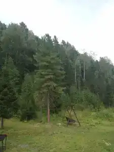 Теле - 16