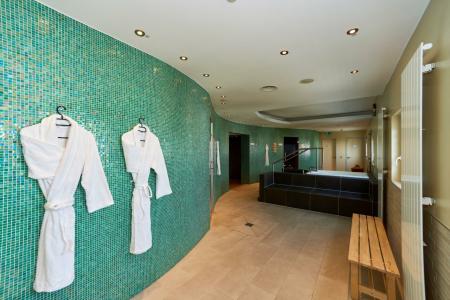 Holiday Inn Berlin Airport - Conference Centre, An Ihg - 53