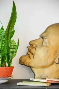 Корюшка Пошла - 30