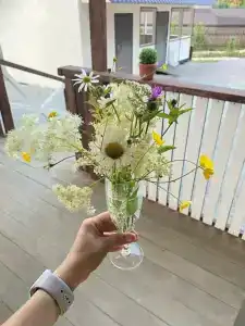 Гостевой Дворик - 12