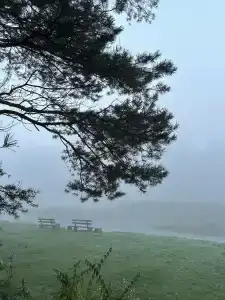 Суеты. нет - 29