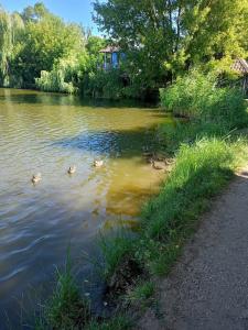 Монахов пруд - 86