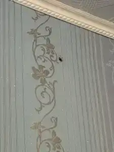 Центральная - 67