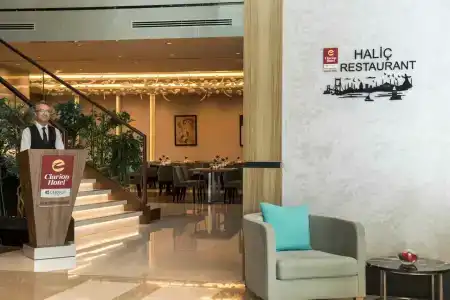 Clarion Golden Horn - 48