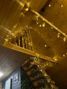 Ильинка лес - 55