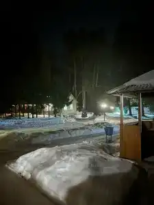 Березовая роща - 71