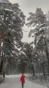 Озерная 38 - 90