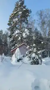 Лебяжье - 46