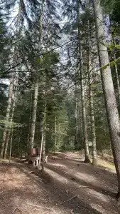 Горное Эхо - 3