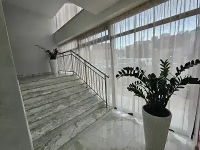 Династия - 31