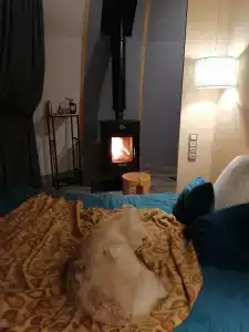 Глэмпинг Ветрено - 94