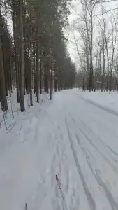 Воронье гнездо - 28