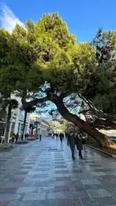 Бристоль - 19