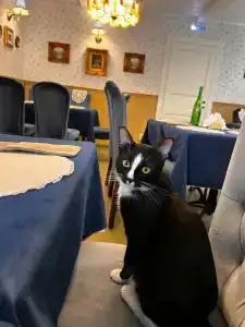 Генеральская Дача - 32